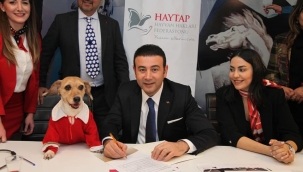 Beşiktaş Belediyesinden örnek dayanışma hareketi