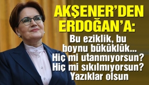 İYİ Parti Genel Başkanı Akşenerden Bahçeli ve MHPlilere çok sert tepki