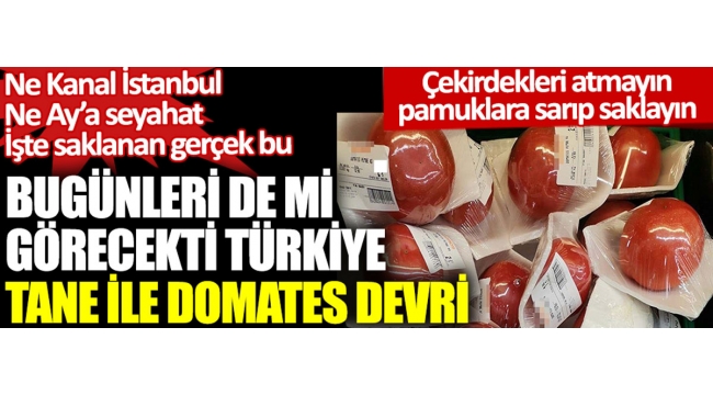 Türkiye de Tane ile domates devri. Ne Kanal İstanbul ne Aya gideceğiz işte gerçek bu .. 