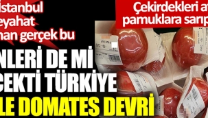 Türkiye de Tane ile domates devri. Ne Kanal İstanbul ne Aya gideceğiz işte gerçek bu ..