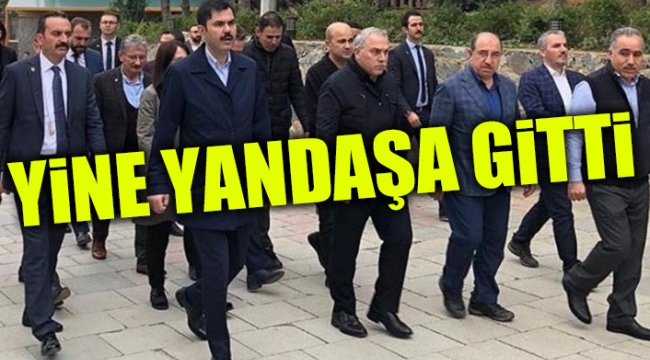 34 ihaleden 175 milyon TL...