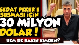 Sedat Pekere 30 Milyon Dolar Sus Parası