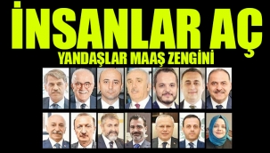 İşte çift maaş alan bürokratlar... Erdoğanı solladılar