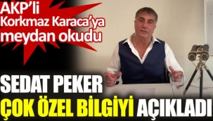 SEDAT PEKER DENİZ BAYKALIN KASET OLAYINDAN SONRA PEZEVENKLERİ GERİ ÇEKİLİNCE GÖREVİ NASIL DEVRALDI?