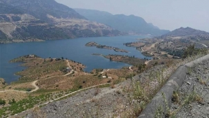 Operasyonundan 305 Milyonluk ihale çıktı!