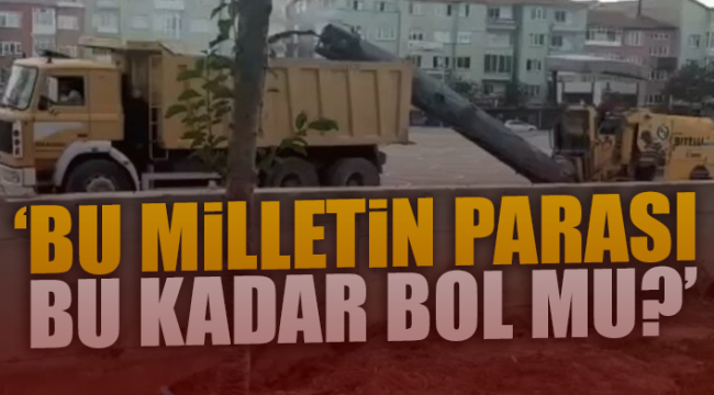 Ağaçları katleden AKPli belediyeden 11 milyonluk ihale!