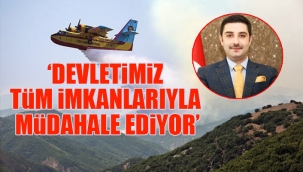 AKP Tunceli İl Başkanı, yangın fotoğrafına photoshop ile söndürme uçağı ekledi