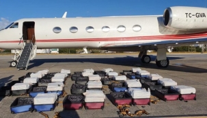 Brezilya'da 1ton 304 kilogram uyuşturucuyla yakalanan Türk özel uçağın sahibi kim ?