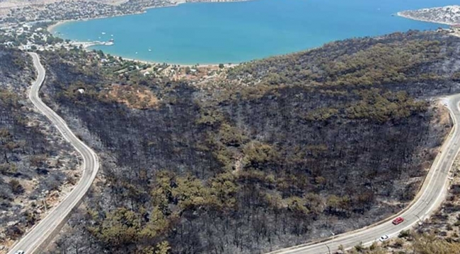 Akkuyu NGS, Silifke'de yanan ormanlara göz dikti iddiası