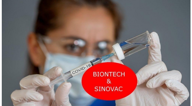 Biontech mi, Sinovac mı? 3. doz aşı araştırma sonuçları duyuruldu