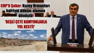 CHP'li Şeker: Kuzey Ormanları hafriyat döküm alanına dönüştü! 'Beşli çete kamyonlarla yol kesti!'