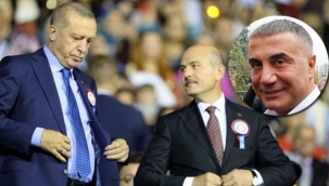 Sedat Peker belge paylaştı, Erdoğan Hidayet Uysalı görevden aldı