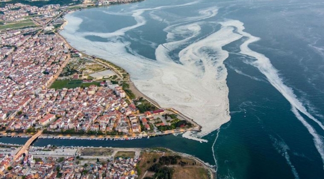 CHP, kıyılarla ilgili yeni yasa önerisini Anayasa Mahkemesi'ne götürecek