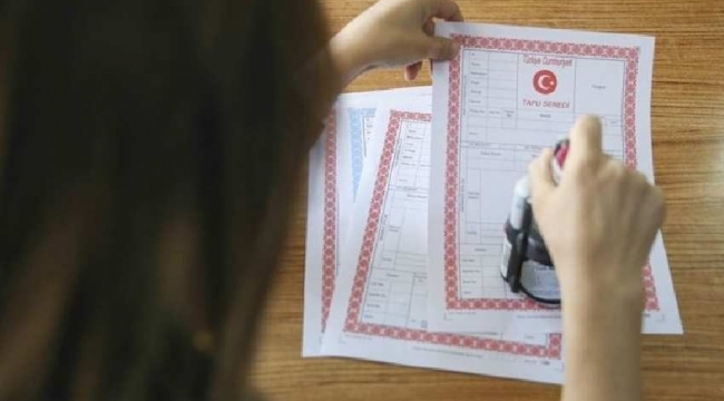 Yargı, Saray'ın sopası haline geldi