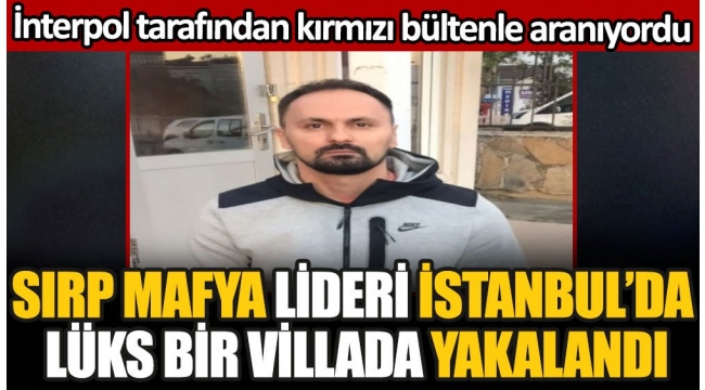 Sırp mafya lideri İstanbulda lüks bir villada saklanırken yakalandı. İnterpol tarafından kırmızı bültenle aranıyordu