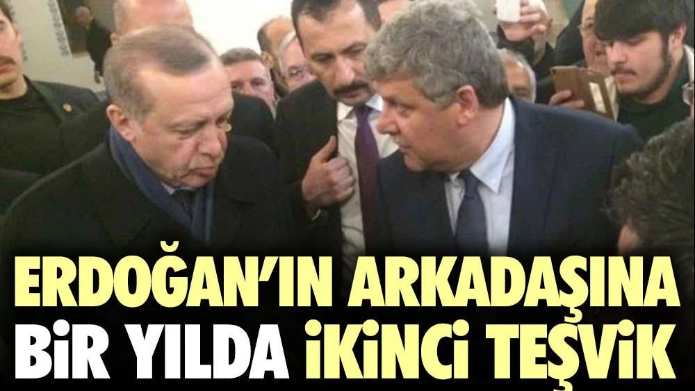 Erdoğan'ın arkadaşı Gürsoy'un şirketi BG Maden'e bir yılda ikinci teşvik