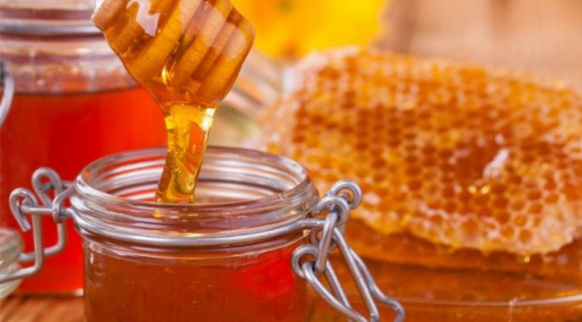 Türk balına sahtecilik vetosu