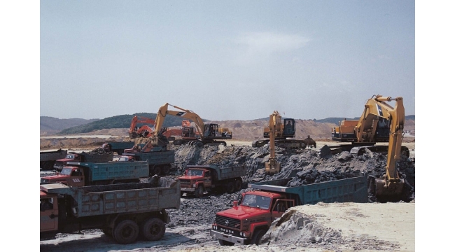 'Kömür Kralının' Hazin Durumu : Azledilen Avukatı, Şirketin İflasını İstedi