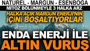 Halka açık Margün Enerji'nin içini boşaltıyorlar 