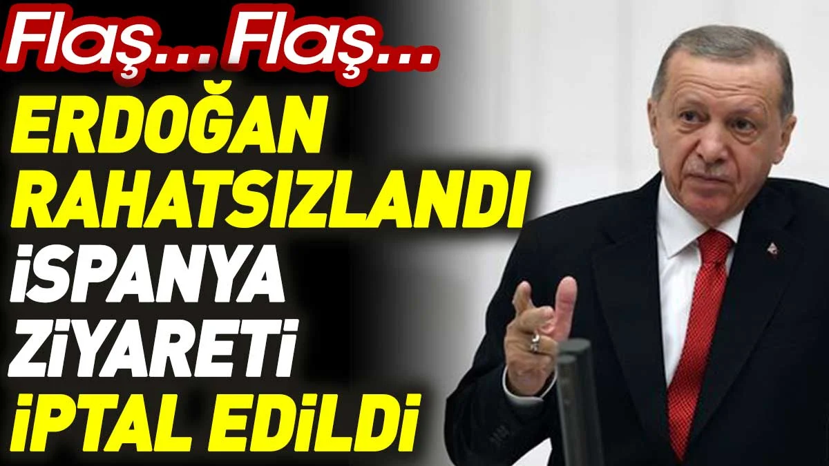 Erdoğan'ın rahatsızlığı nedeniyle İspanya ziyareti iptal edildi