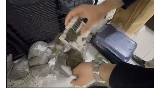 Sigara ve Tütün Kaçakçılığı 'Karınca' yöntemi ile 30 milyonluk kaçakçılık