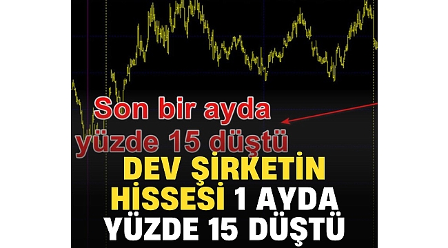 Türkiye'nin en iyi şirketinin hissesi 1 ayda yüzde 15 düştü